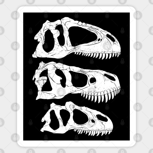 Giganotosaurus Tyrannosaurus Rex Allosaurus fossil skulls Magnet by NicGrayTees